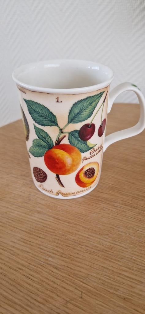 Roy Kirkham Fine Bone China Mok - Parchment Fruit (Vintage), Nieuw, Ophalen of Verzenden, Overige stijlen, Kop(pen) en/of Schotel(s)
