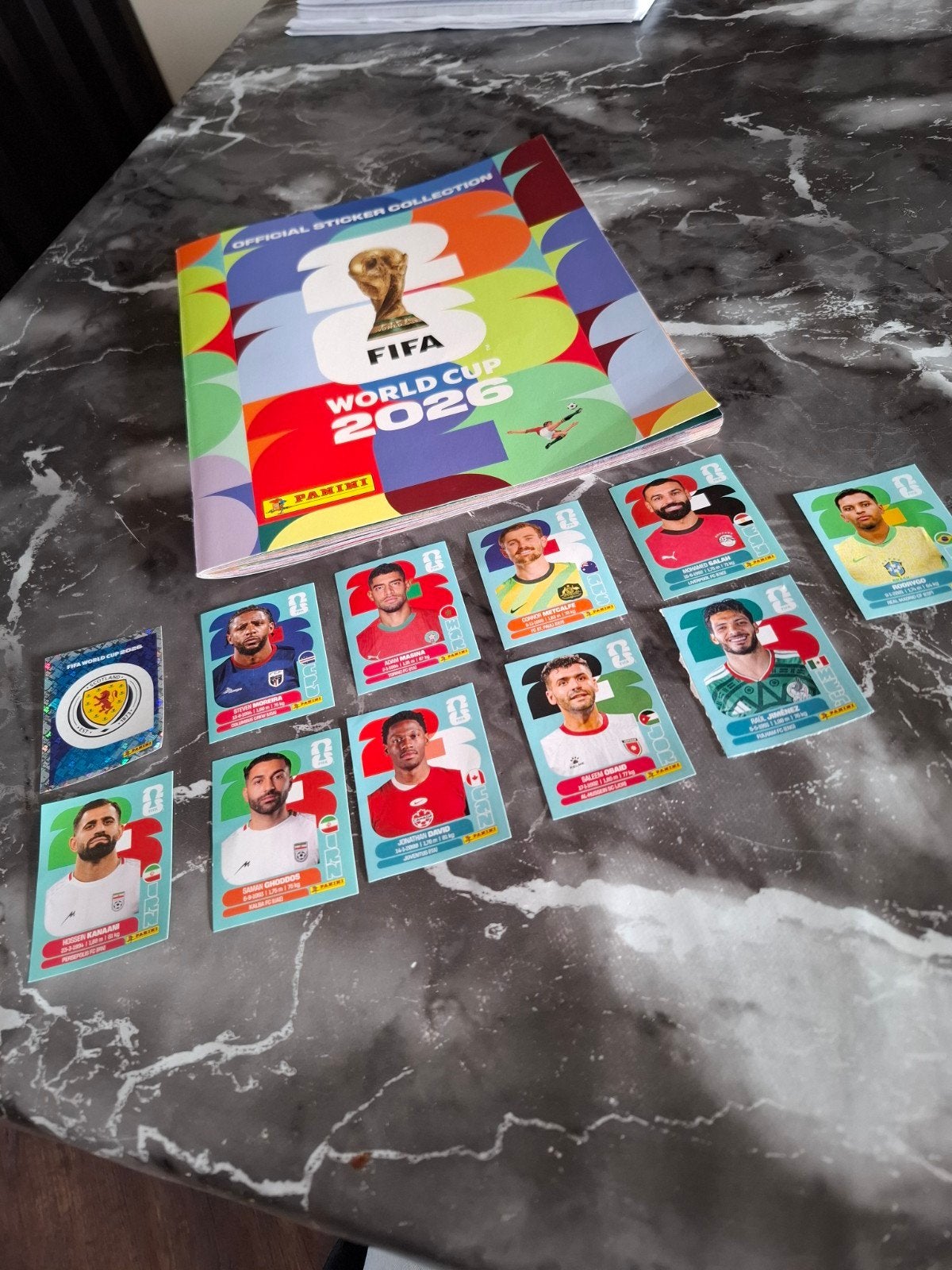 Panini voetbal plaatjes, Verzamelen, Ophalen of Verzenden, Zo goed als nieuw, Ajax, Poster, Plaatje of Sticker