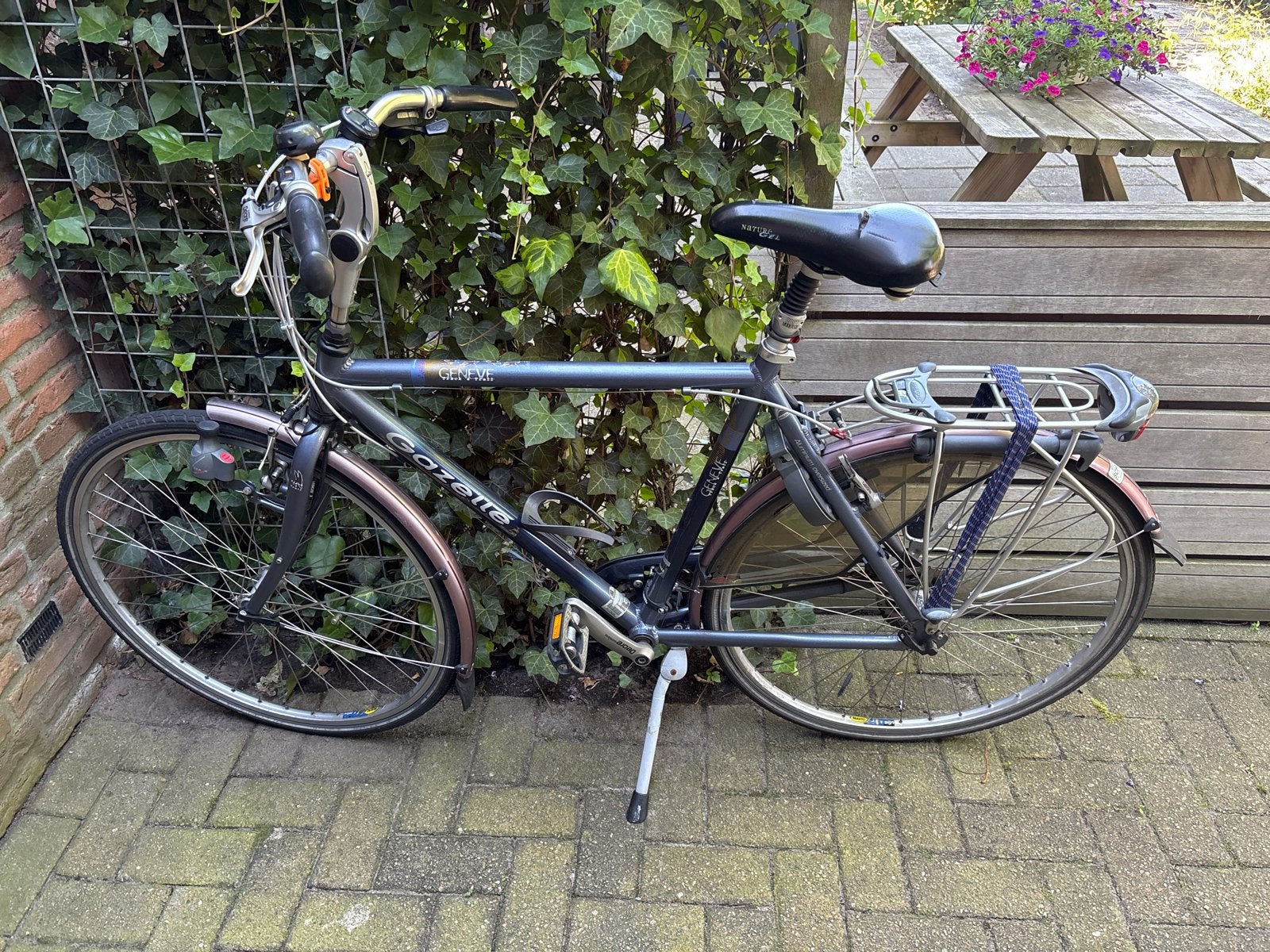Gazelle Genève - Track en Trail fiets, Ophalen, Gebruikt, Meer dan 20 versnellingen, Gazelle