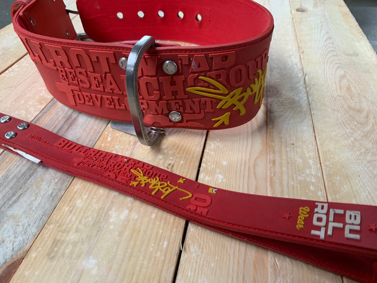 Honden riem en halsband, Ophalen of Verzenden, Nieuw