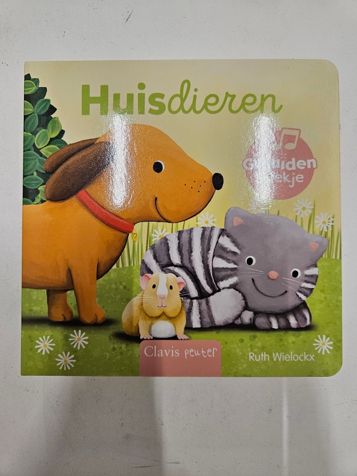Ruth Wielockx - Huisdieren, Ophalen of Verzenden, Zo goed als nieuw, Ruth Wielockx