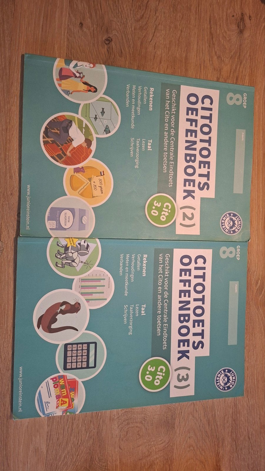 Cito Oefenboeken Groep 8 (deel 2 en 3), Ophalen of Verzenden, Zo goed als nieuw, LBO, Junior Einstein