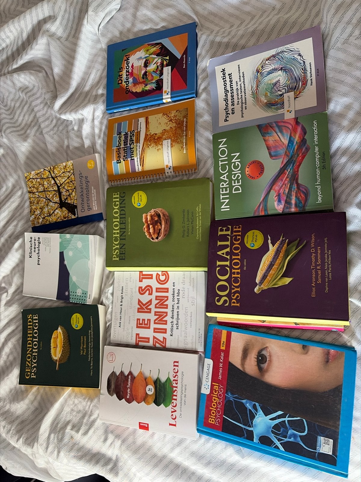 Studieboeken Toegepaste Psychologie HBO Deventer Jaar 1, Boeken, Studieboeken en Cursussen, Ophalen, Gamma, Gelezen, HBO