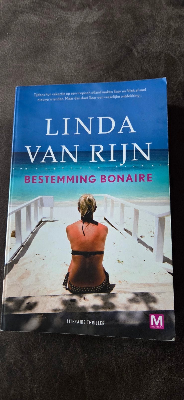 Linda van rijn, Ophalen of Verzenden, Zo goed als nieuw