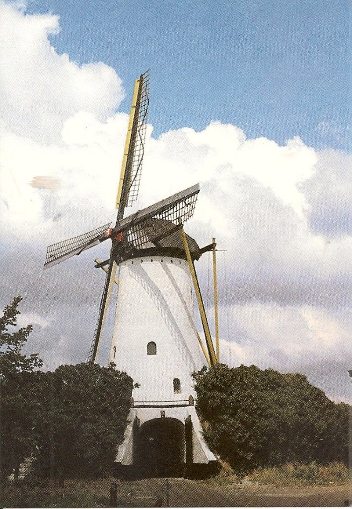 Ansichtkaart Molen "Sancto Antonio" Halsteren, Ophalen of Verzenden, 1980 tot heden, Ongelopen, Noord-Brabant