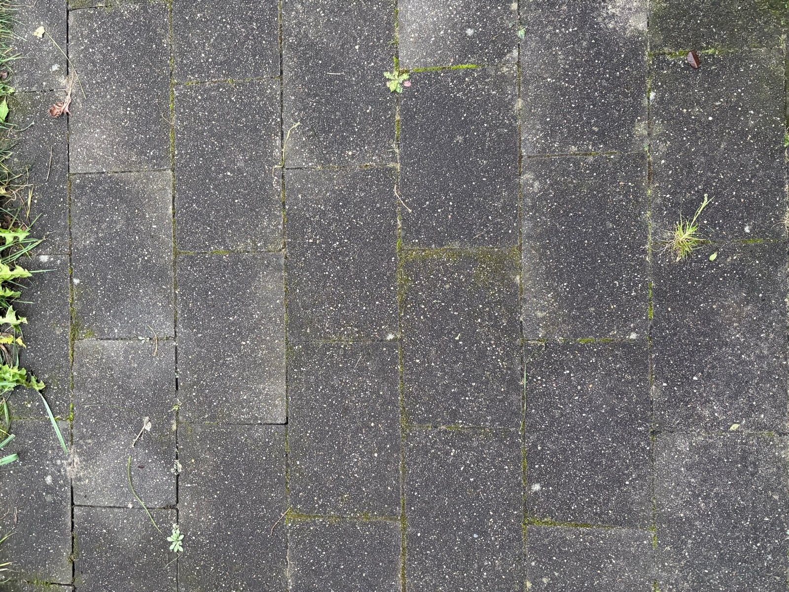 Gratis betontegels 20x30x5 cm - ca. 30m², Ophalen, Gebruikt, 10 m² of meer, Beton