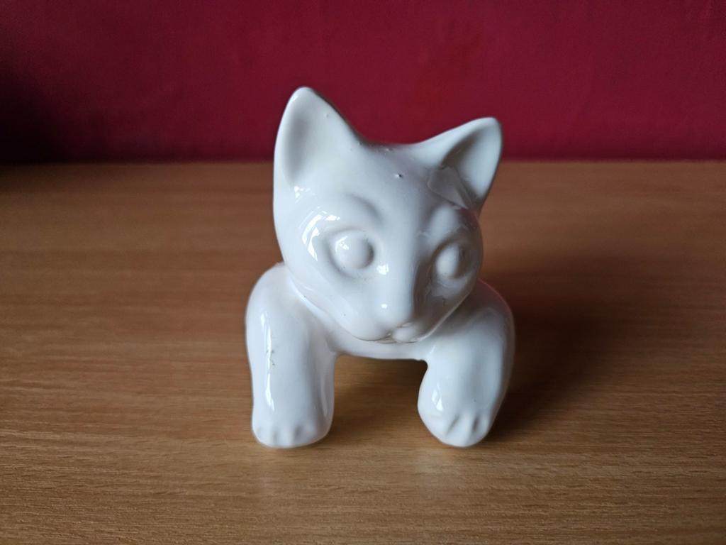 Kattenbeeld poezenbeeld, Ophalen of Verzenden, Gebruikt, Dier