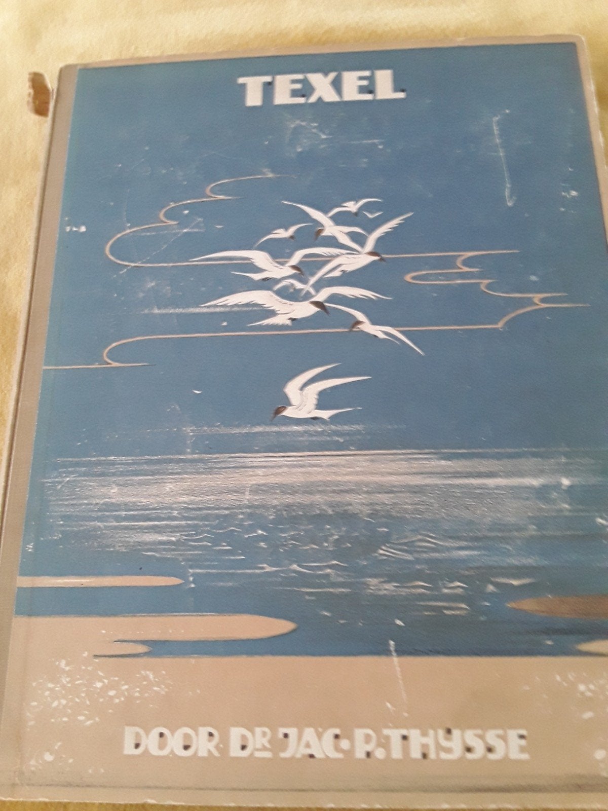 texel,jac thijsse, Antiek en Kunst, Ophalen of Verzenden