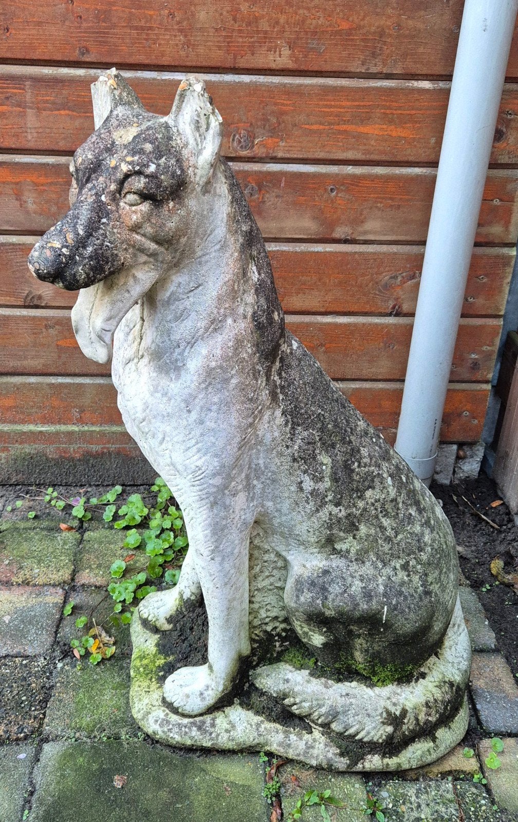 Vintage betonnen hondenbeeld - Duitse herder, Tuin en Terras, Ophalen, Gebruikt, Beton, Dierenbeeld