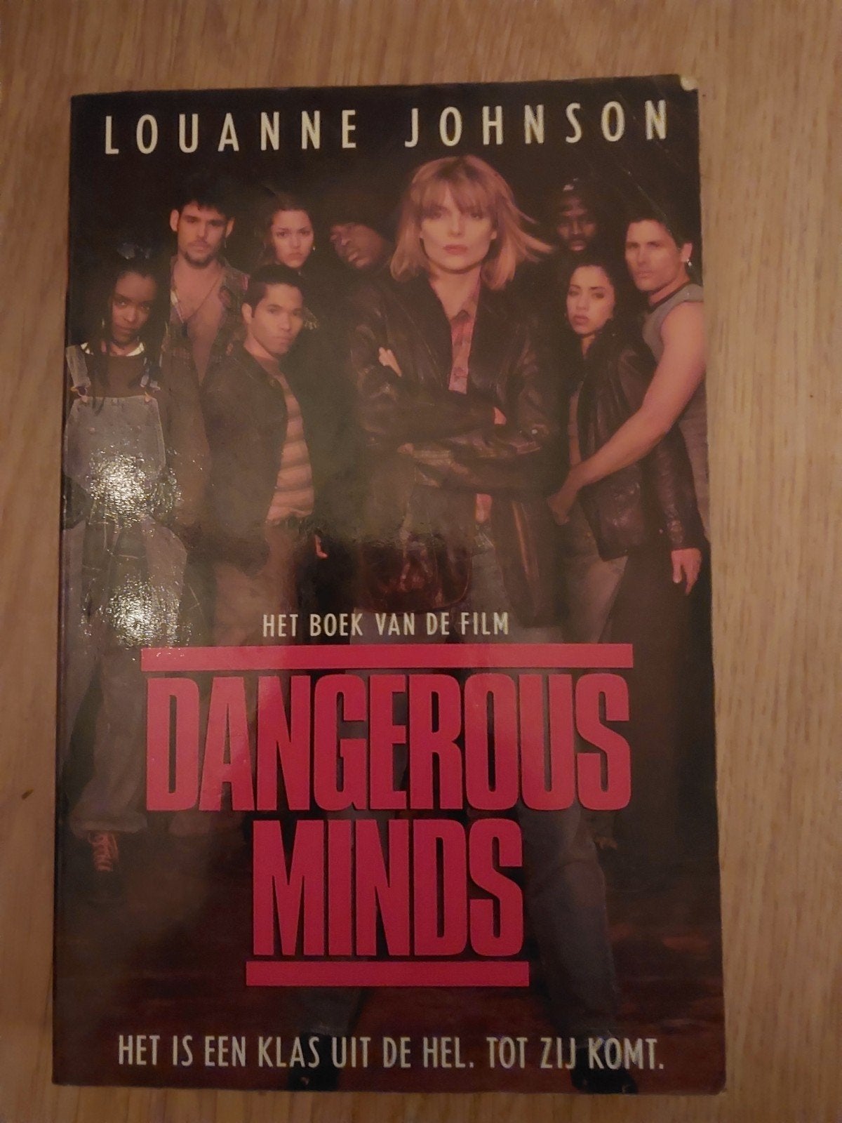 Dangerous Minds - Het boek van de film (Louanne Johnson), Ophalen of Verzenden, Gelezen, Louanne Johnson, Nederland