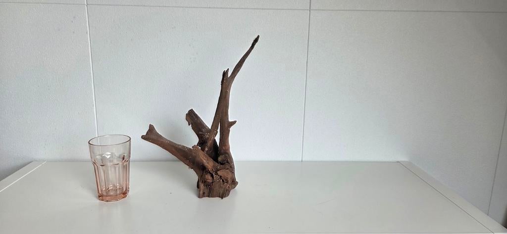 Decoratie hout aquarium, Ophalen, Plant(en), Steen of Hout