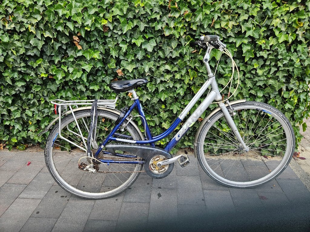GIANT freerider dames fiets, Ophalen, Gebruikt, Versnellingen, Giant