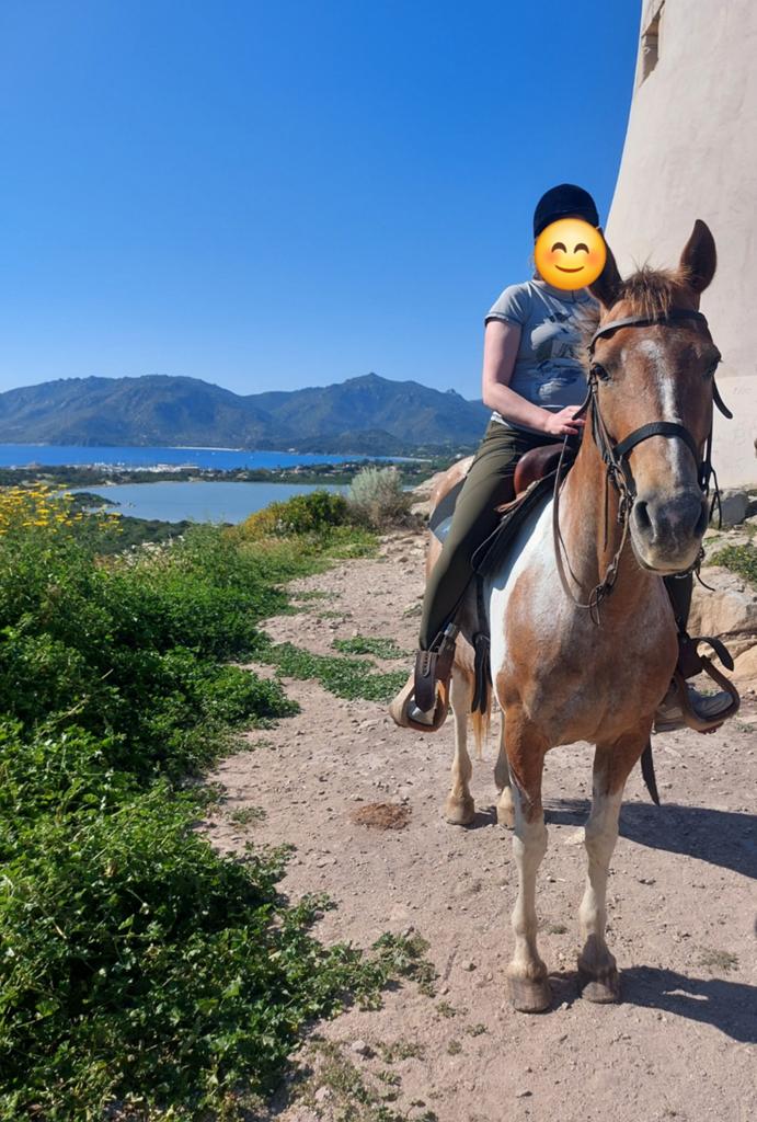 Bijrijdpaard gezocht (recreatie) / Bijrijder aangeboden, Dieren en Toebehoren, Paarden en Pony's | Verzorgingsproducten, Nieuw