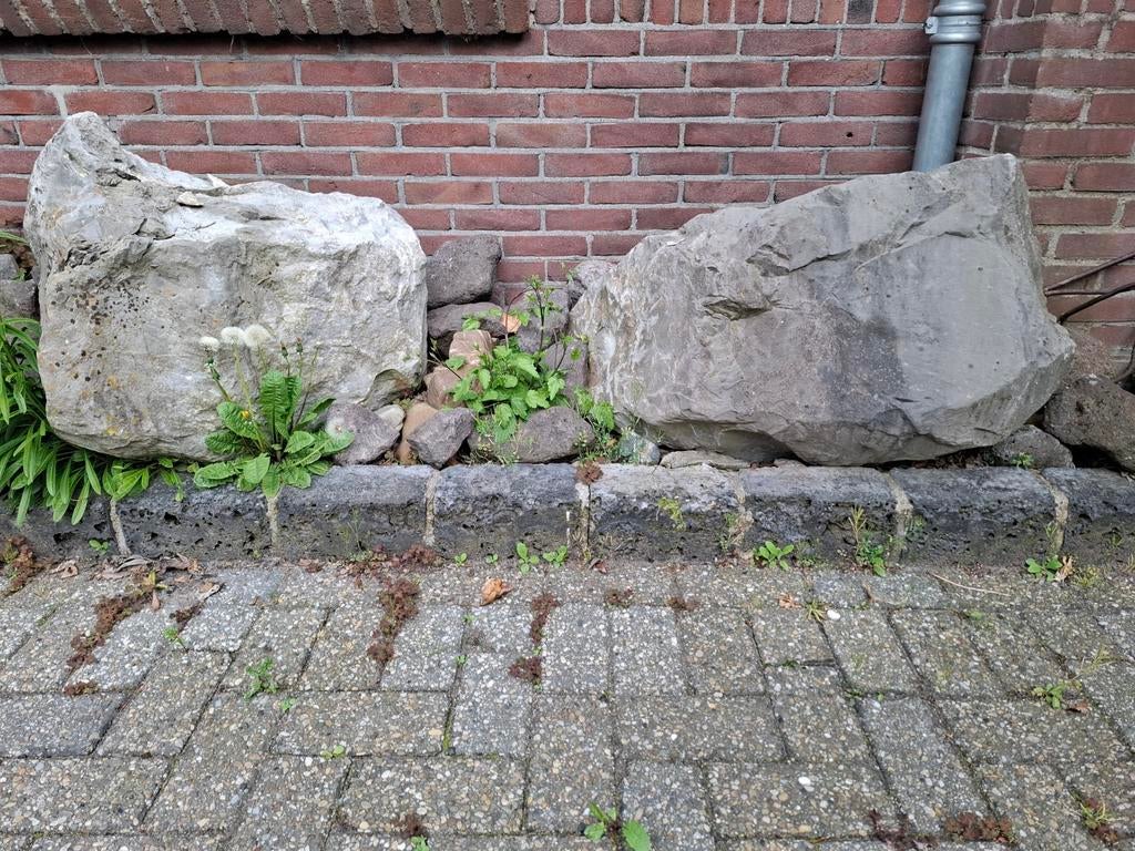 Grote natuurstenen rotsblokken voor tuin of decoratie, Tuin en Terras, Ophalen, Overige materialen, Gebruikt, Kei