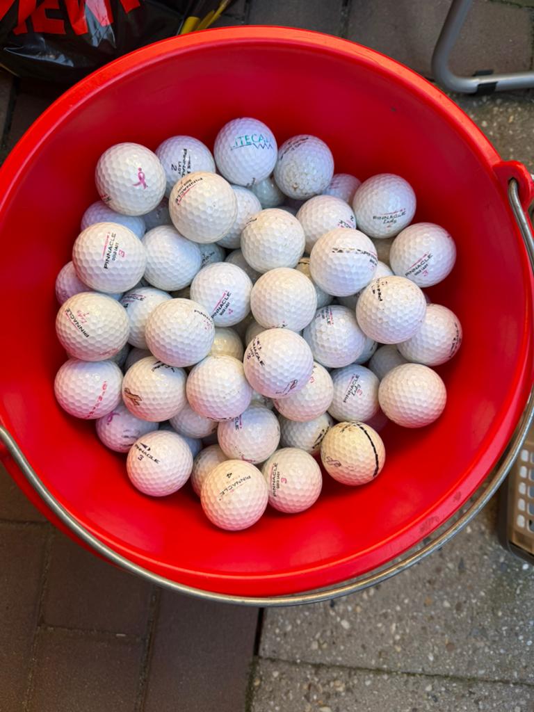 149 Pinnacle Lady golfballen, Overige merken, Gebruikt, Bal(len), 6603EB