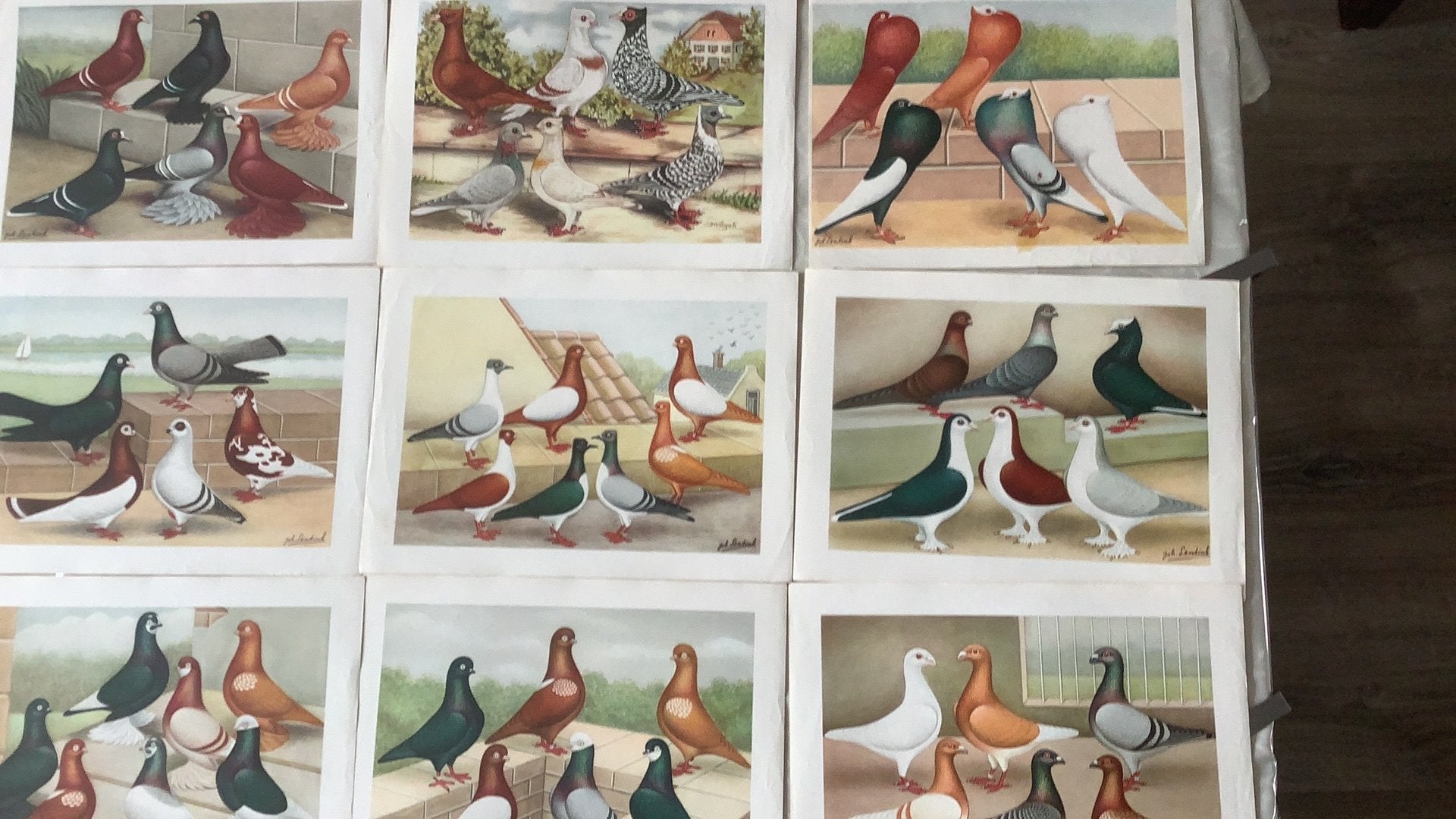 Plaatjes van joh Lentink, Geslacht onbekend, Kropper