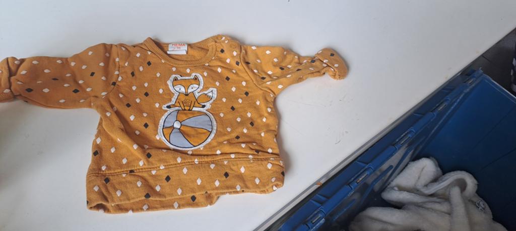 Hema trui maat 56 met vossenprint, Kinderen en Baby's, Babykleding | Maat 56, Ophalen of Verzenden, Zo goed als nieuw, Jongetje