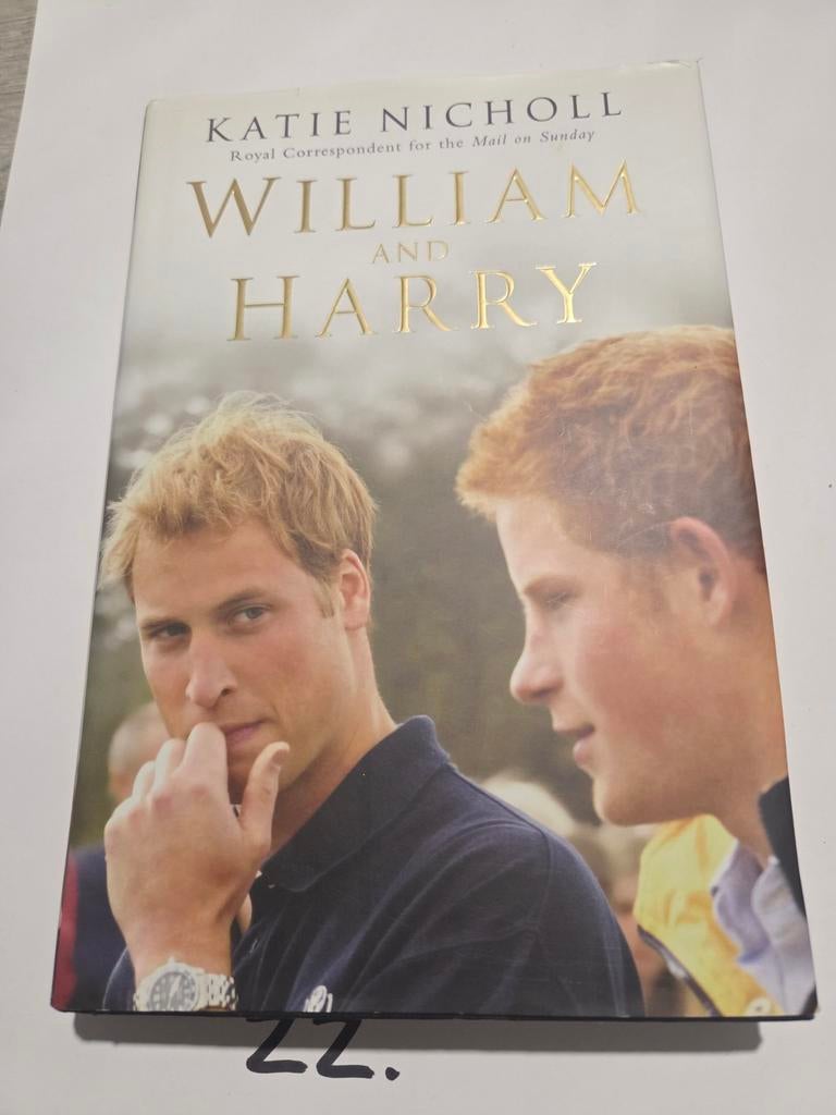 William en Harry door Katie Nicholl, Ophalen of Verzenden