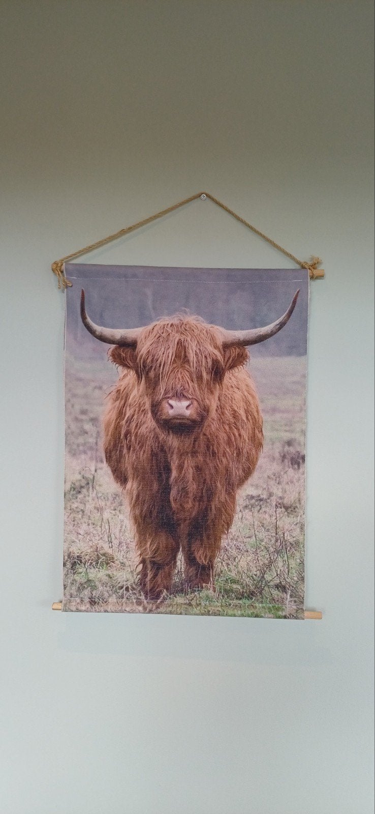 Wandkleed Schotse Hooglander met LED verlichting, Ophalen of Verzenden, Zo goed als nieuw, Bruin, Landelijk