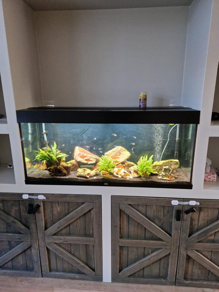 Aquarium, Ophalen, Gebruikt, Gevuld zoetwateraquarium, Juwel