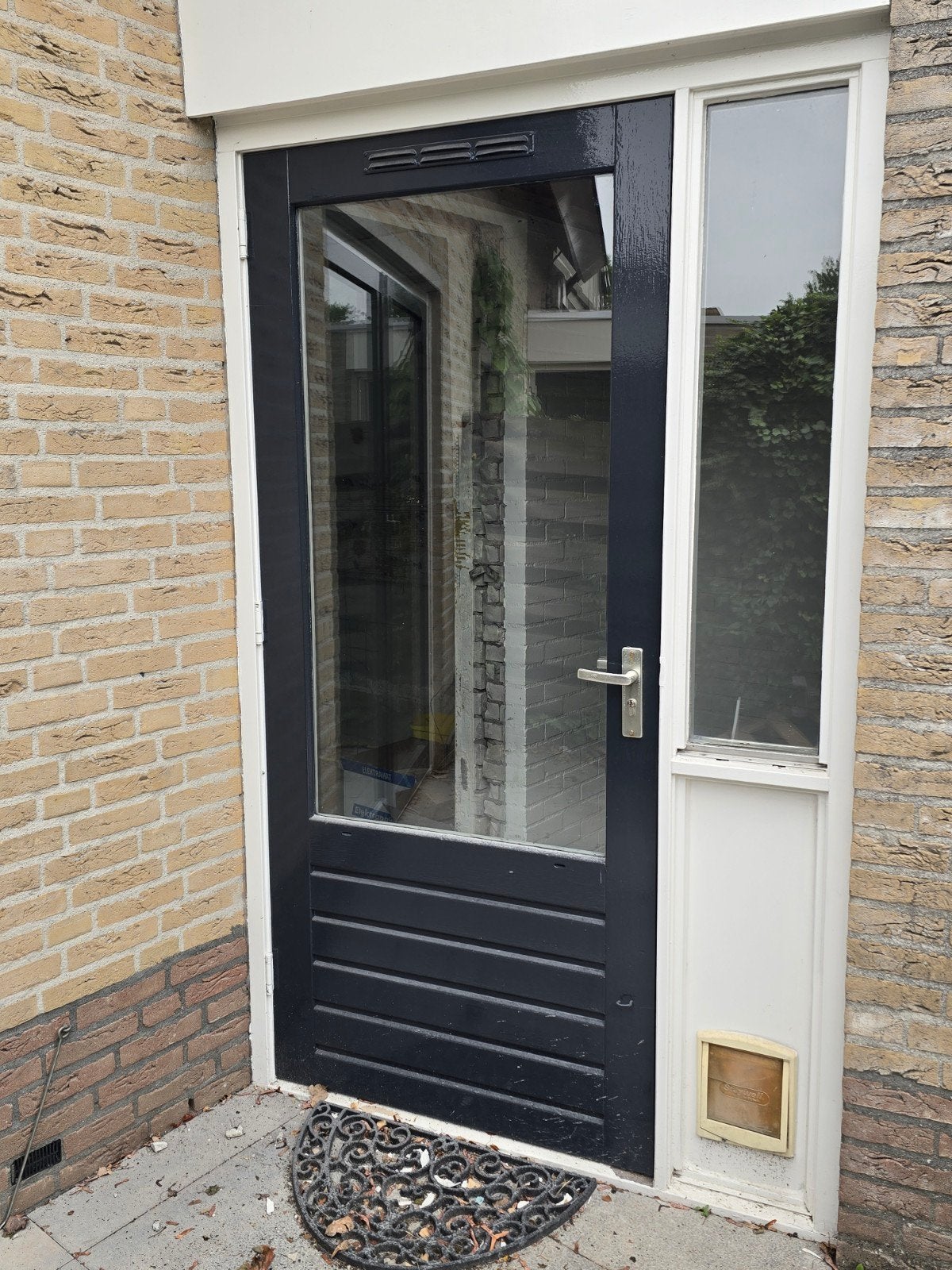 Buitendeur met dubbel glas en kattenluik, Ophalen, Gebruikt, Buitendeur, Glas