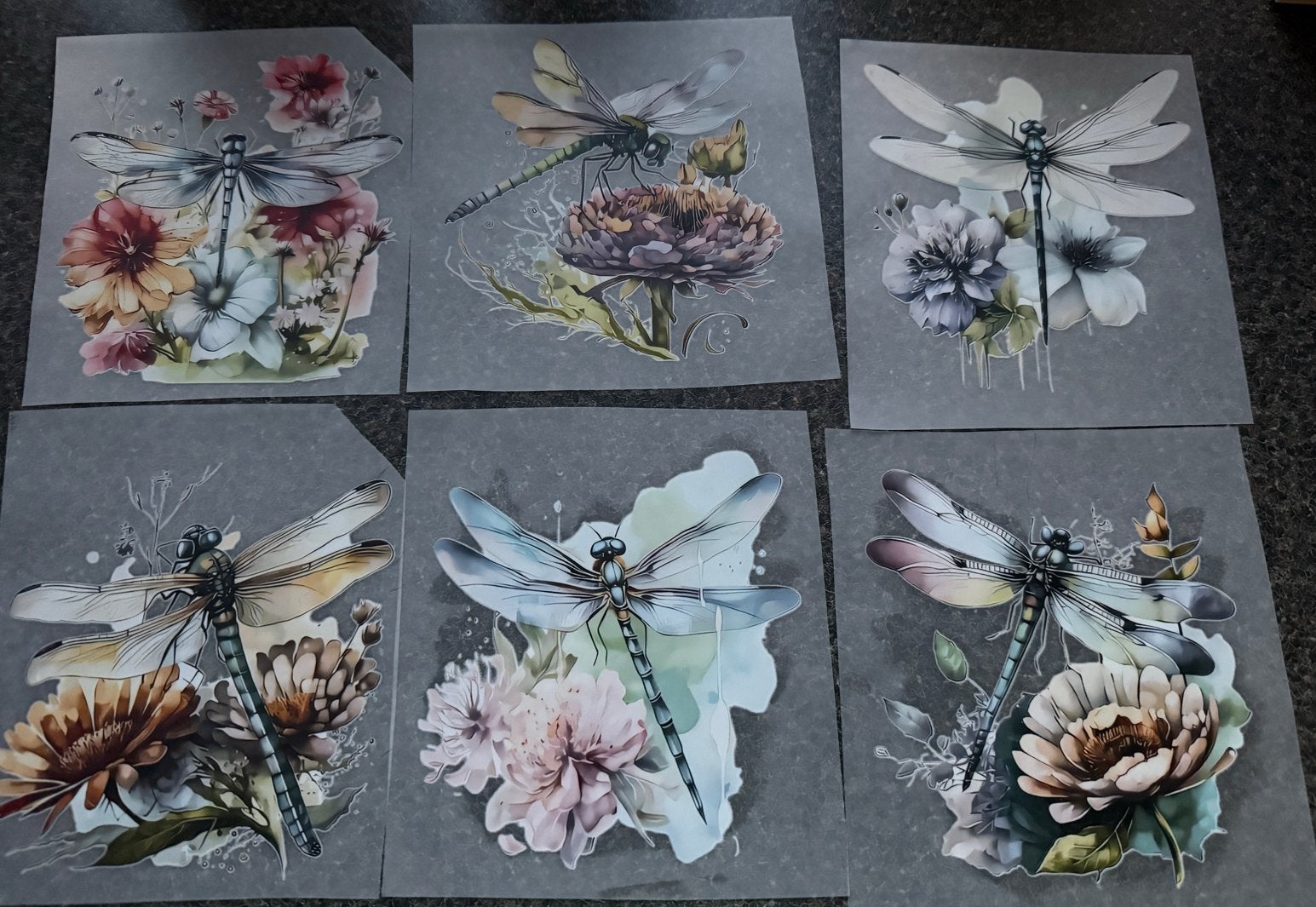 DTF Transfers Libellen en Bloemen - Per stuk, Ophalen of Verzenden, Nieuw, Overige typen