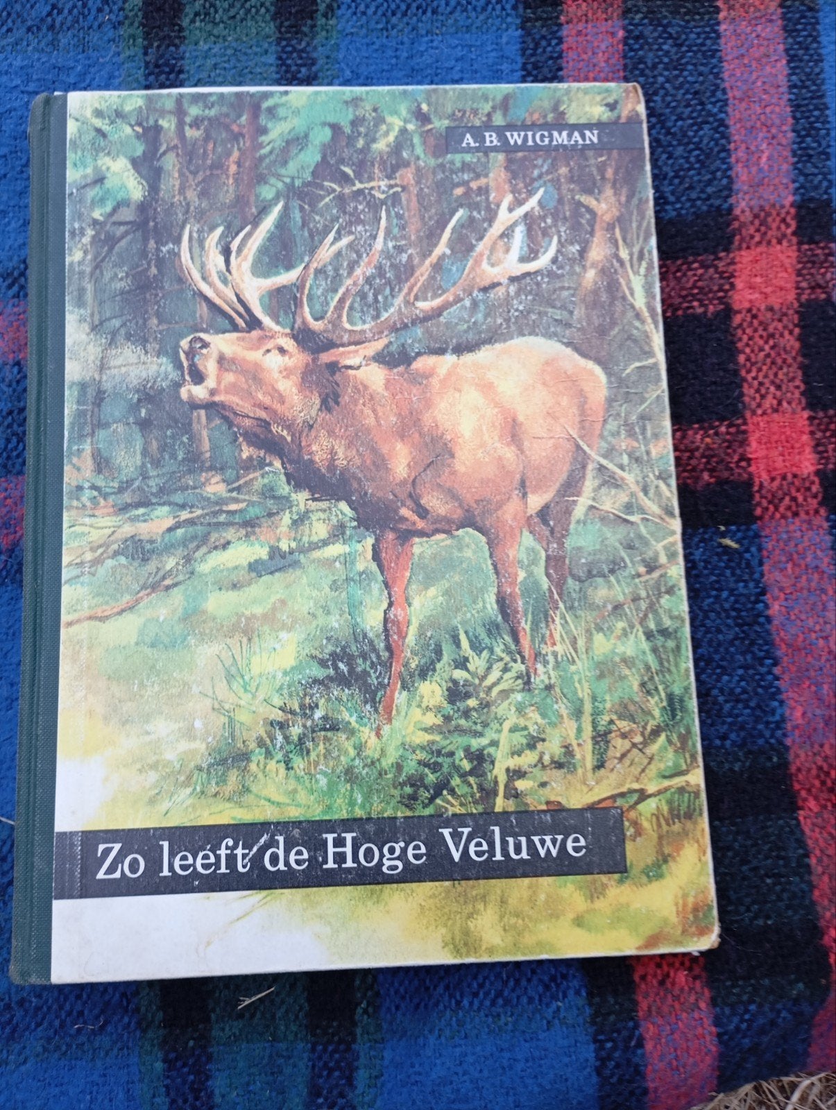 Vintage Plaatjes boek Zo leeft de Hoge Veluwe A Wigman, Boeken, Ophalen of Verzenden, Gelezen, A B Wigman