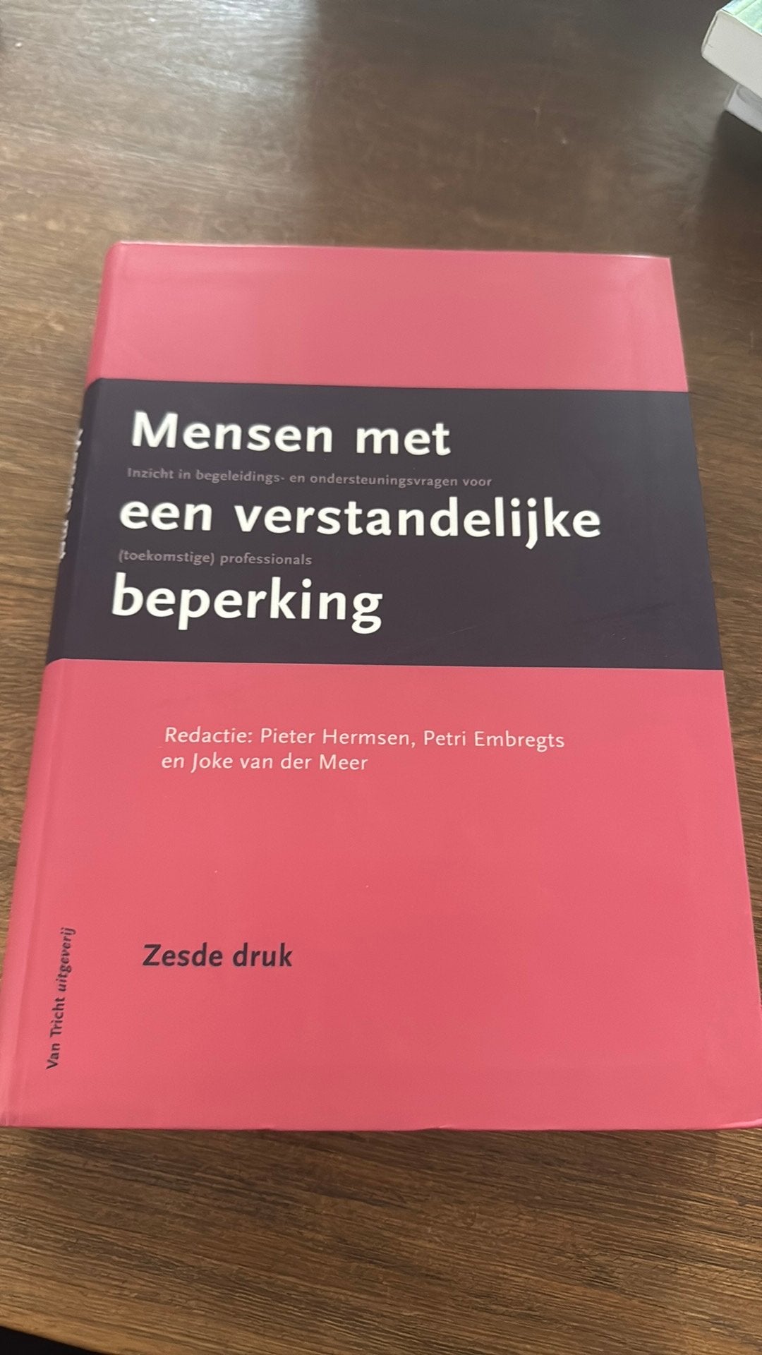 Pieter Hermsen - Mensen met een verstandelijke beperking, Ophalen of Verzenden, Nieuw, Pieter Hermsen; Noud Frielink; Annette van der Putten; Jac de...