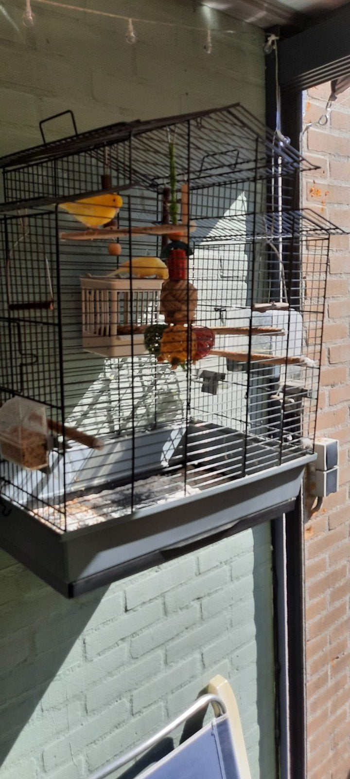 vogel kooi met 2 kanaries, Dieren en Toebehoren, Ophalen, Zo goed als nieuw, Metaal, Vogelkooi
