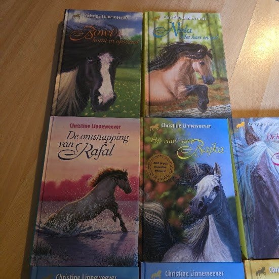 Christine Linneweever paarden kinderboeken, Ophalen of Verzenden, Zo goed als nieuw, Fictie, Christine Linneweever