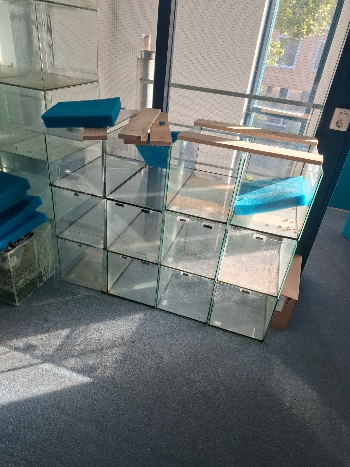Nog 12 Aquariumbakken 60x30x30!, Dieren en Toebehoren, Ophalen of Verzenden, Nieuw