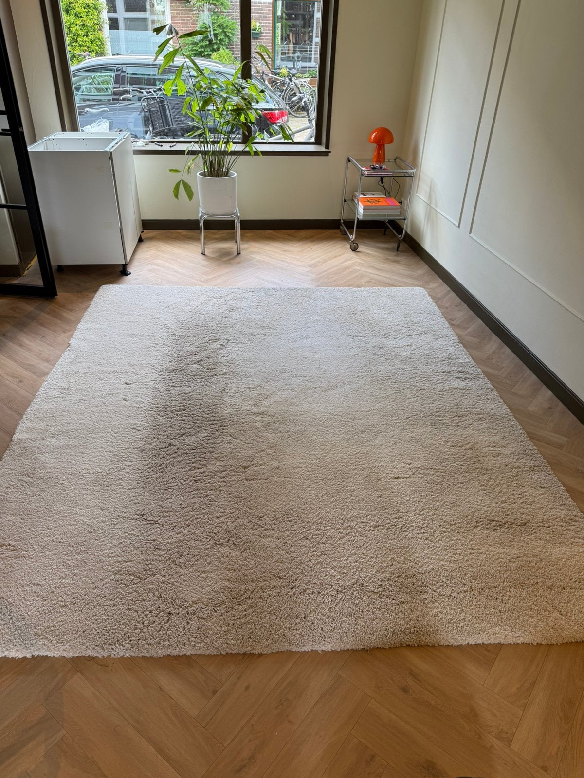 Hoogpolig vloerkleed, Ophalen, Gebruikt, Rechthoekig, 200 cm of meer