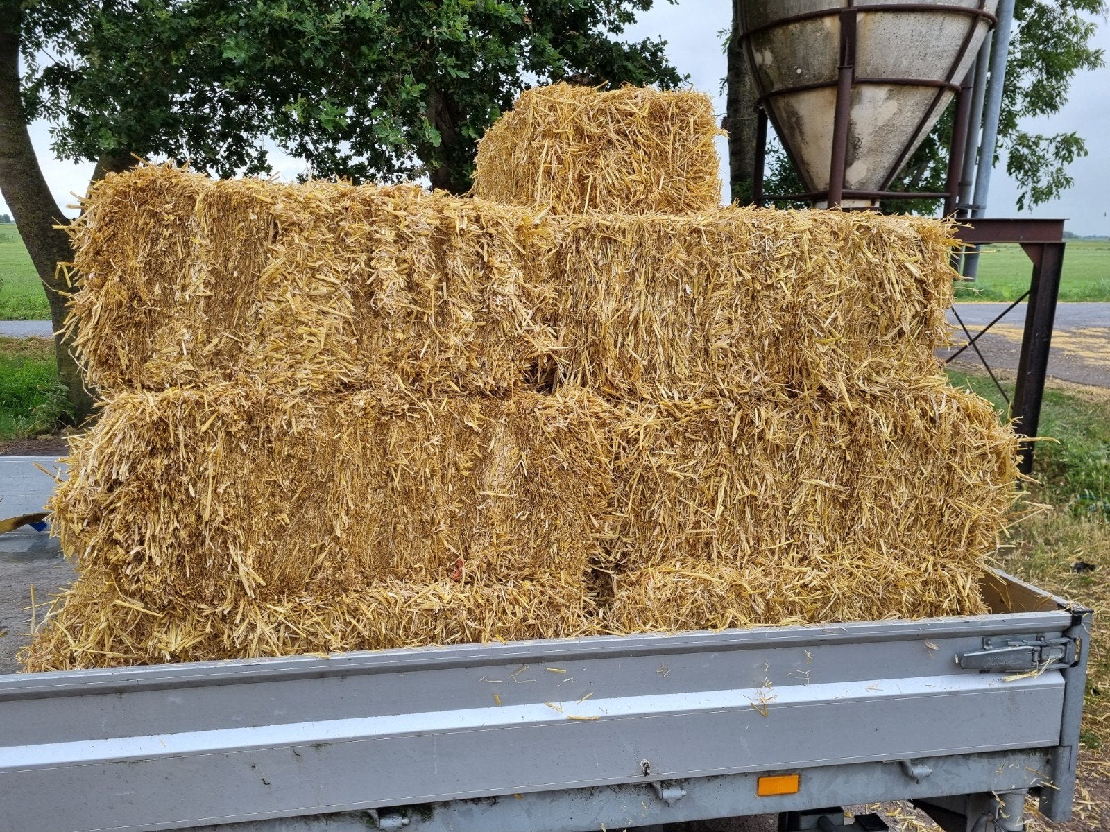 Kleine pakjes stro nog 22 op voorraad, Ophalen, Vee