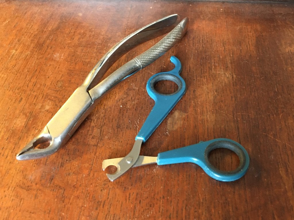 Tang voor hondengebit en nagelschaar, Ophalen of Verzenden, Gebruikt, Overige typen