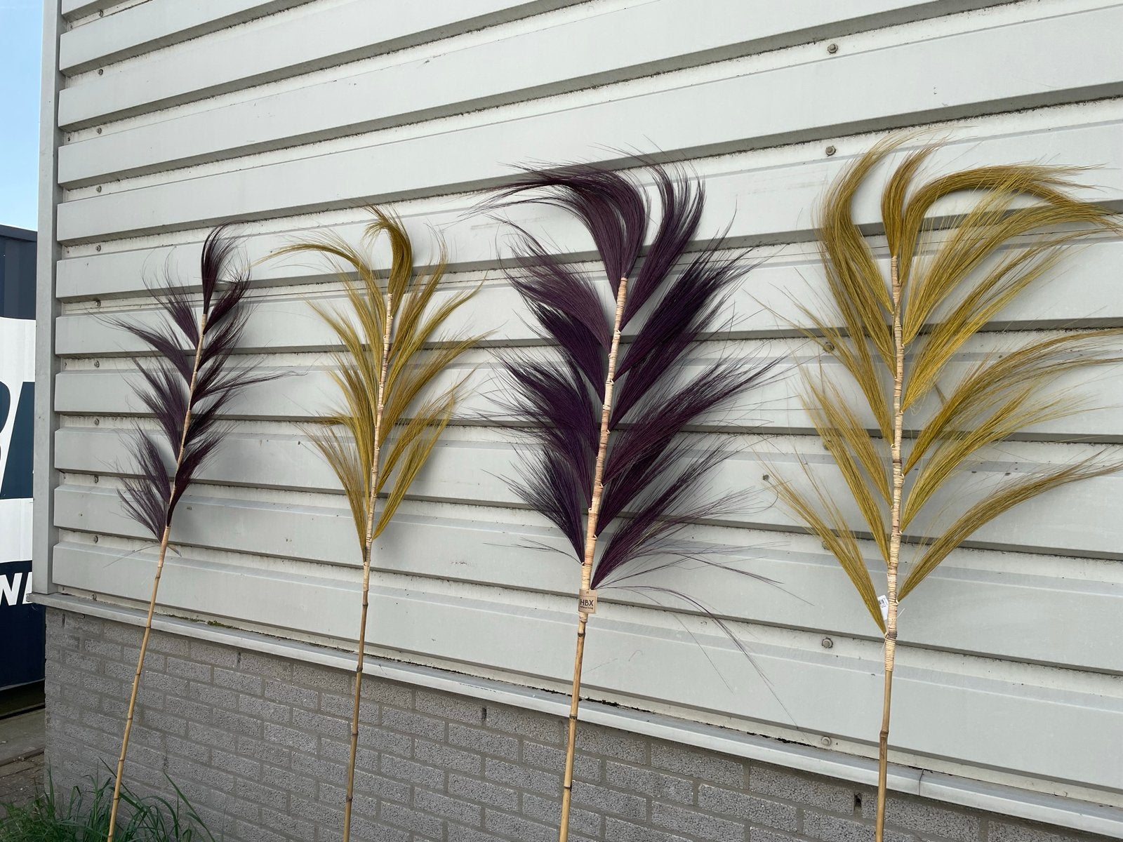 Partij decoratief bamboe met veren, Meerkleurig, Boho, Nieuw, Ophalen of Verzenden