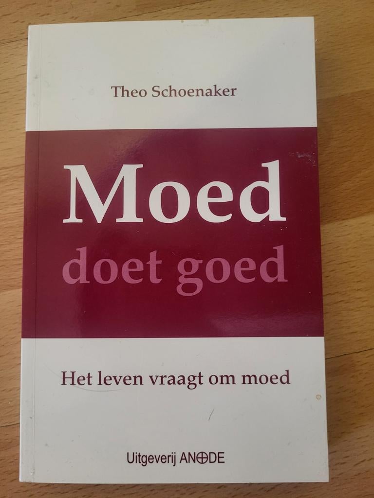Moed doet goed - Theo Schoenaker (Uitgeverij ANODE), Ophalen of Verzenden, Gelezen, Overige onderwerpen, Theo Schoenaker