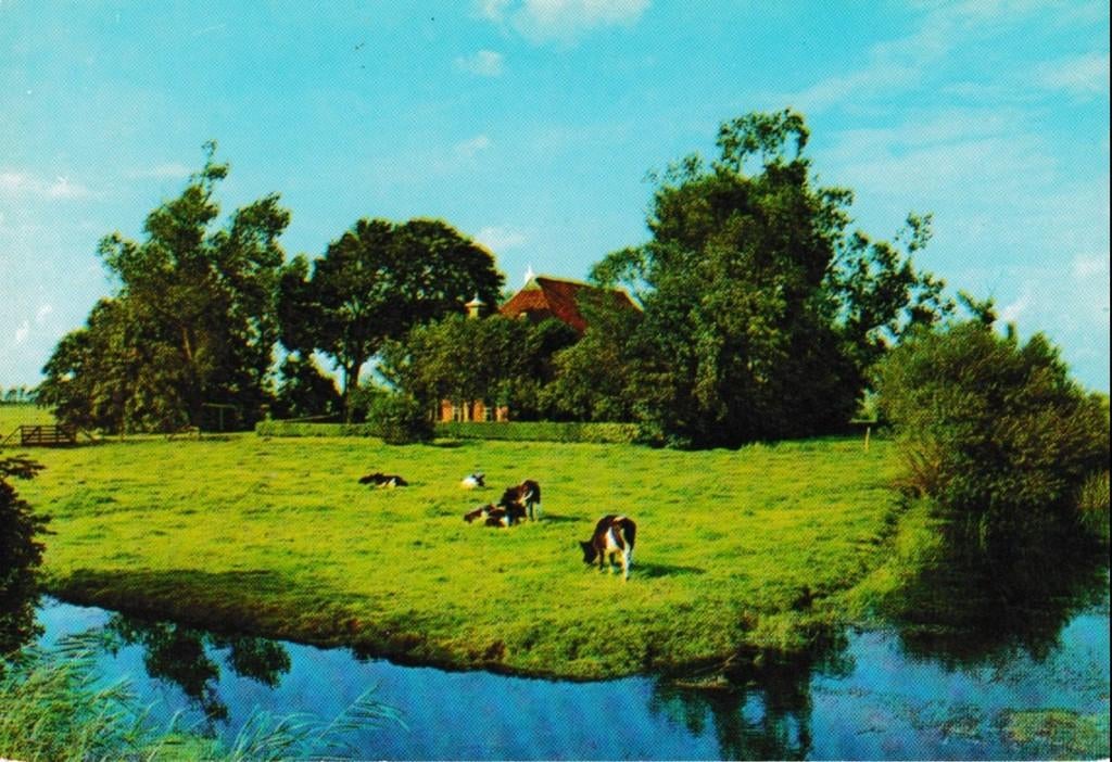 Friesland           778a, Ophalen of Verzenden, Voor 1920, Friesland