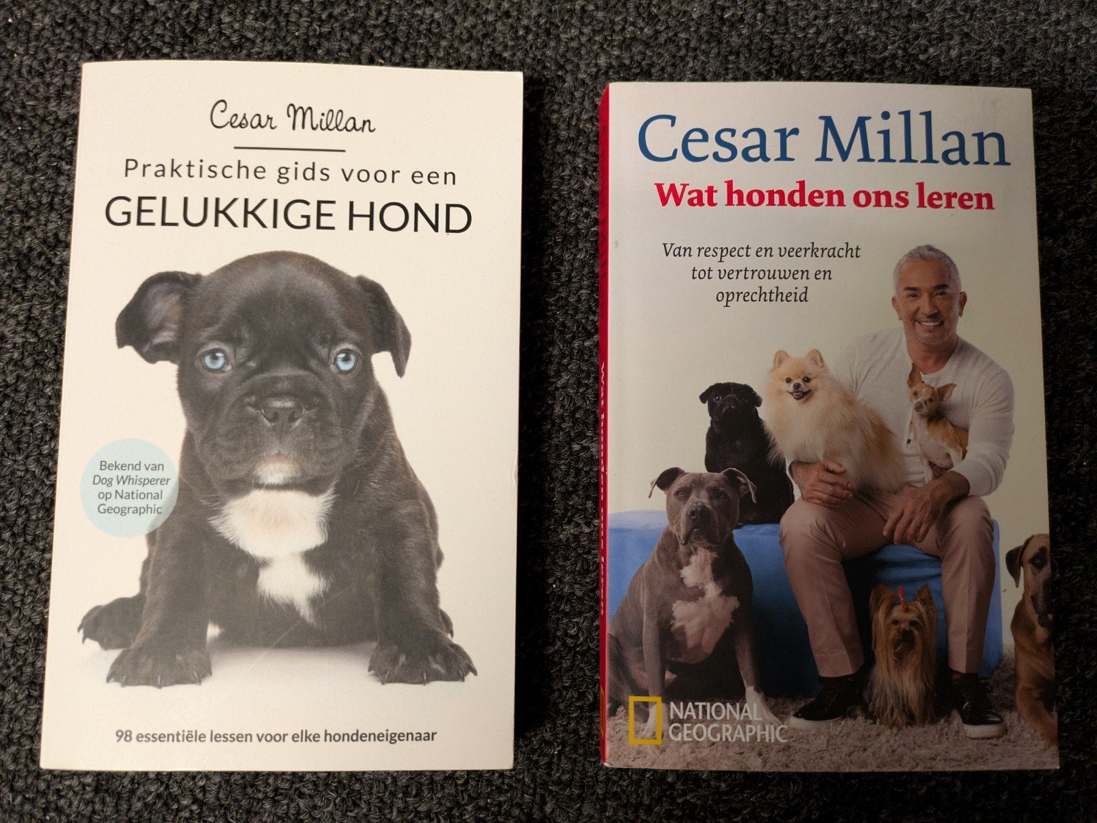 Cesar Millan: De gelukkige hond & wat honden ons leren., Ophalen of Verzenden, Zo goed als nieuw, Honden, Cesar Millan