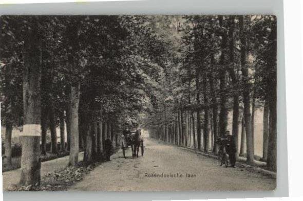 Velp Rosendaalsche Laan met paard en fietser st 1909, Ophalen of Verzenden, Voor 1920, Gelopen, Gelderland