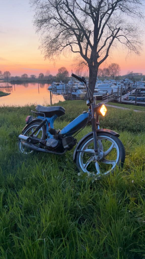 Tomos 65cc, Ophalen, Zo goed als nieuw, Standard