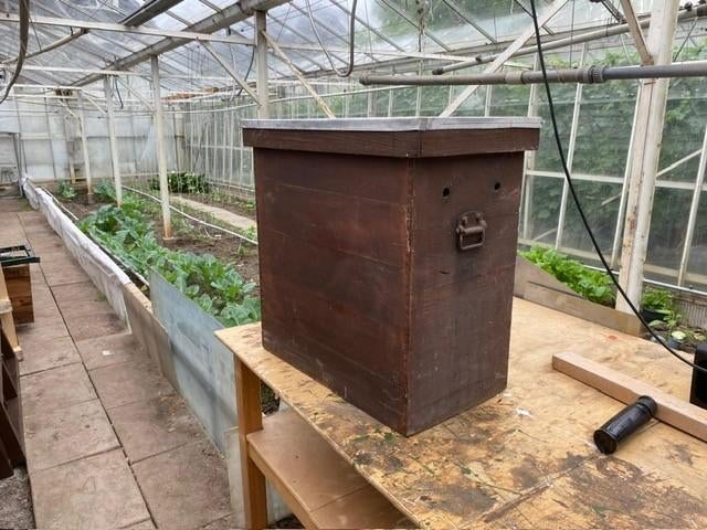 grote bijenkasten, Dieren en Toebehoren, Insecten en Spinnen, Bijen