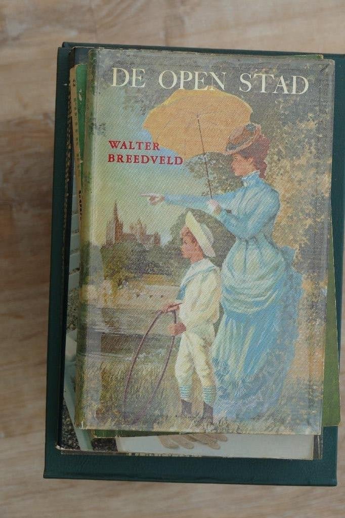 Walter Breedveld - De open stad, Boeken, Ophalen of Verzenden, Gelezen, Walter Breedveld