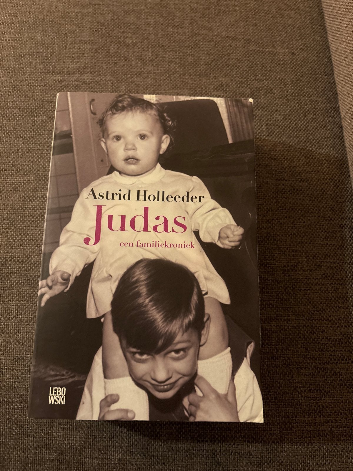 Judas: Een Familiekroniek - Astrid Holleeder, Ophalen of Verzenden, Gelezen, Overige