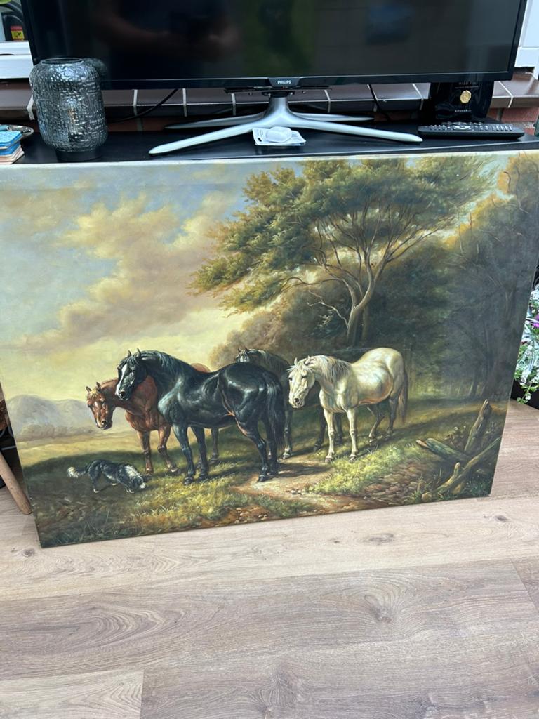 Paarden, Ophalen of Verzenden