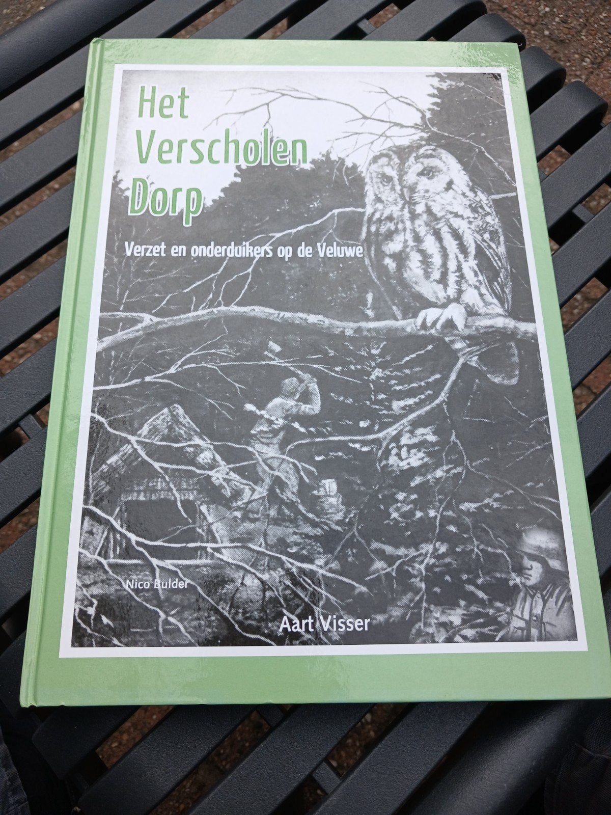 Het Verscholen Dorp: Verzet en onderduikers op de Veluwe, Boeken, Tweede Wereldoorlog, Aart Visser, Nico Bulder, Ophalen of Verzenden
