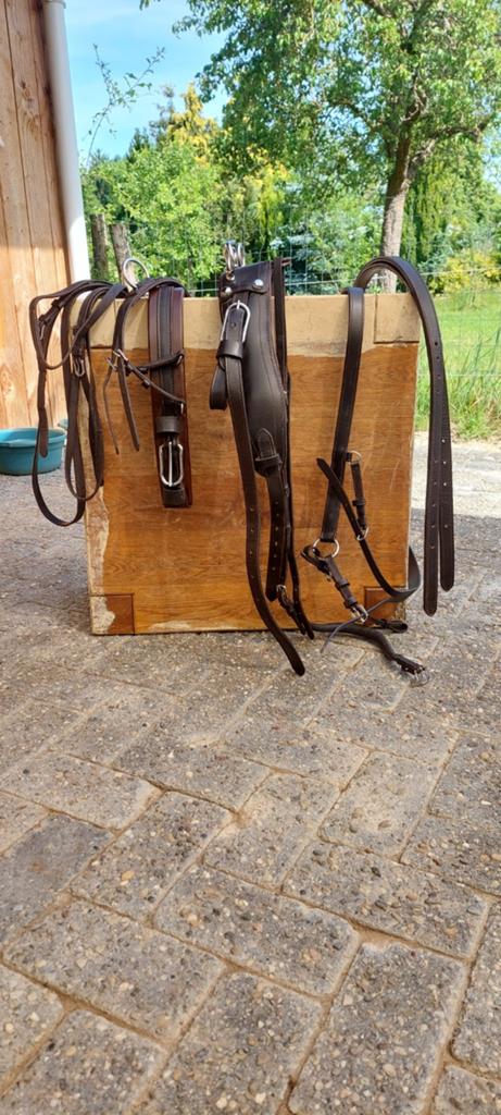 Mentuig bruin Shetlander, Dieren en Toebehoren, Paarden en Pony's | Hoofdstellen en Tuigage, Ophalen, Overige soorten