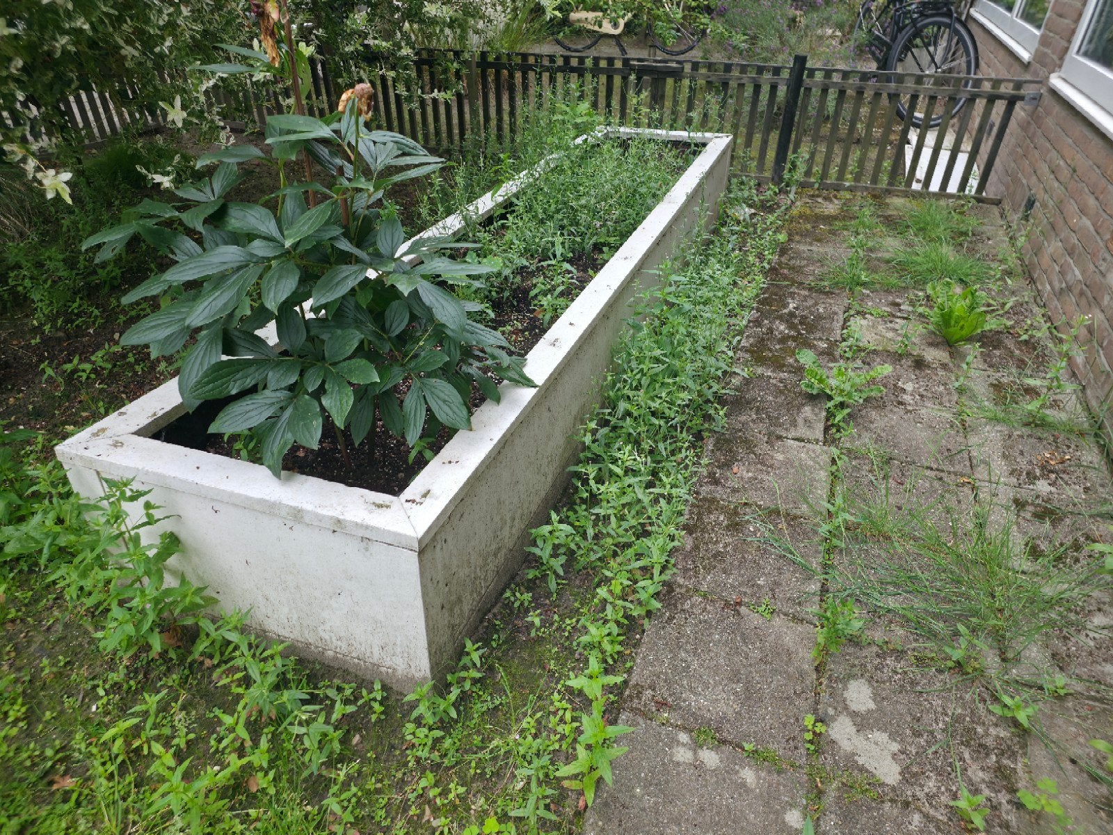 Bloembak, Ophalen, Rond, Minder dan 30 cm