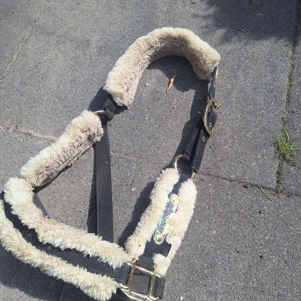 Kentucky bont halster cob, Dieren en Toebehoren, Ophalen of Verzenden, Overige soorten