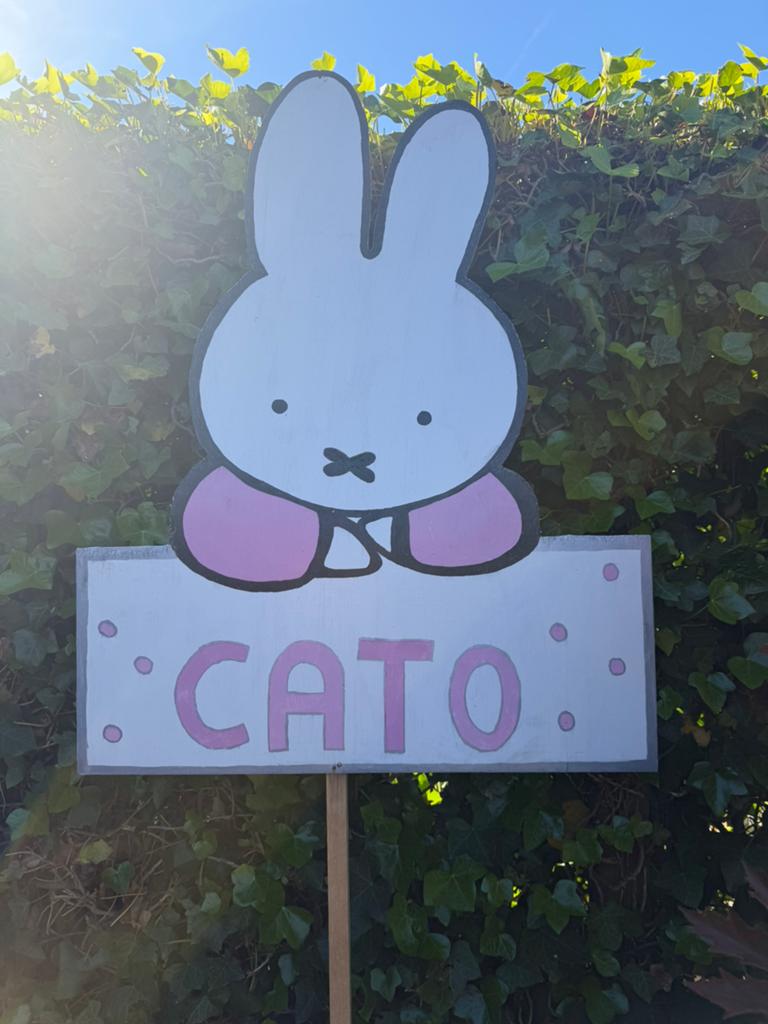 Geboortebord nijntje, Kinderen en Baby's, Kraamcadeaus en Geboorteborden, Ophalen of Verzenden, Gebruikt