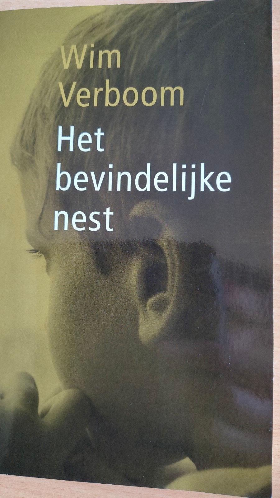 Het bevindelijke nest. W Verboom, W Verboom, Christendom | Protestants, Ophalen of Verzenden, Zo goed als nieuw